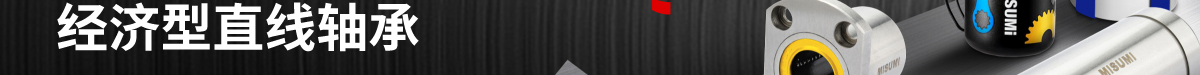 經(jīng)濟型直線軸承