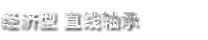 經(jīng)濟(jì)型 直線軸承