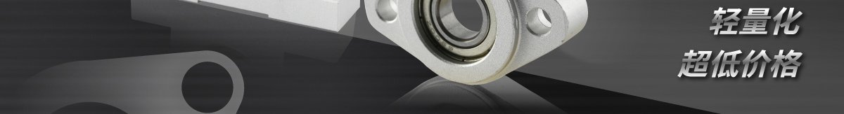 經(jīng)濟(jì)型軸承座組件