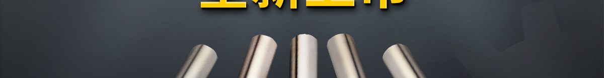 米思米經(jīng)濟型導向軸 全新上市