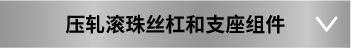 壓軋滾珠絲杠和支座組件