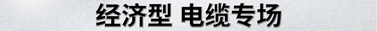 經(jīng)濟(jì)型電纜專場