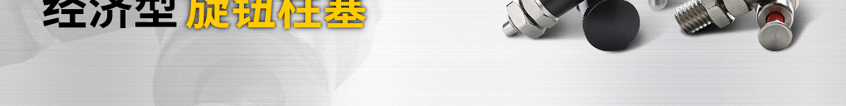 經(jīng)濟(jì)型 旋鈕柱塞
