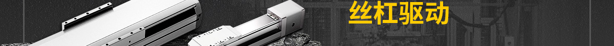 經(jīng)濟型鋁合金模組 絲杠驅(qū)動