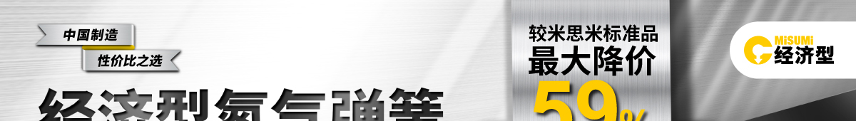 經(jīng)濟型氮氣彈簧