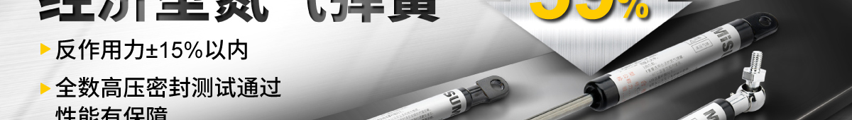 經(jīng)濟型氮氣彈簧