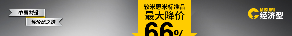 經(jīng)濟型線性滑軌