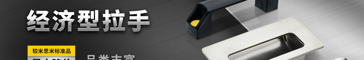 經(jīng)濟(jì)型 拉手