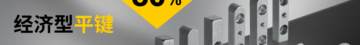 經(jīng)濟(jì)型平鍵