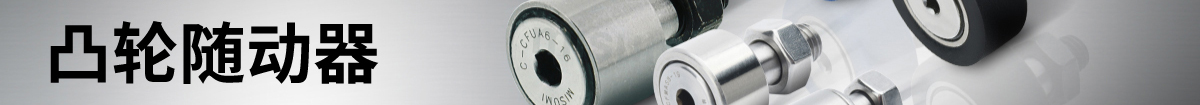 經(jīng)濟型凸輪隨動器