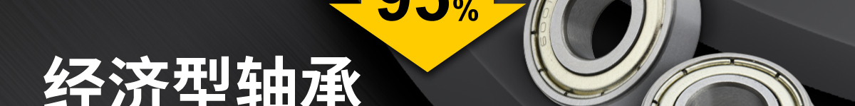 經(jīng)濟(jì)型軸承