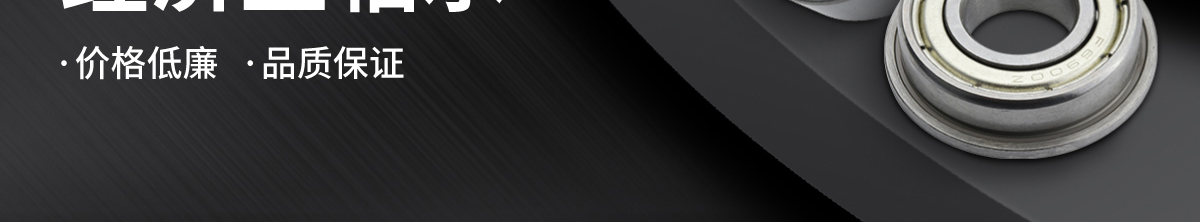 經(jīng)濟(jì)型軸承