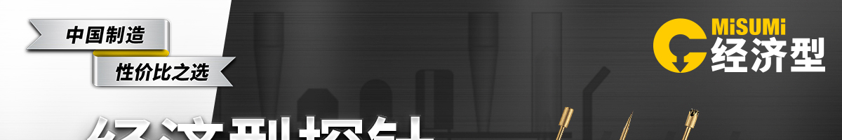 經(jīng)濟(jì)型探針