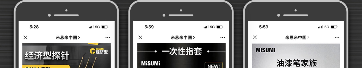 經(jīng)濟(jì)型探針