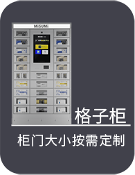 格子柜 柜門大小按需定制