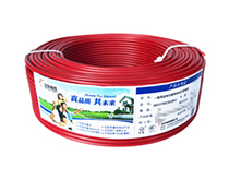 BV國(guó)際電線(xiàn)