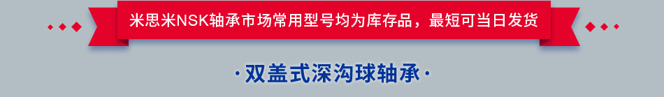 雙蓋式深溝球軸承