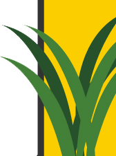 顆粒物防護(hù)口罩