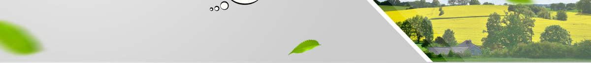 顆粒物防護(hù)口罩