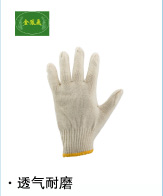 金鳳飛 滌棉手套